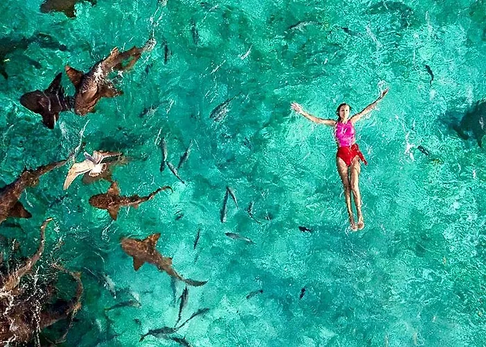 Margaritaville Ambergris Caye - Belize Hotel 3*